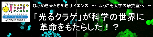 ひらめき☆ときめきサイエンス 見出し
