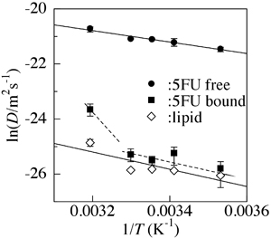 脂質二分子膜に結合した５FU（bound）とfreeの５FUならびに脂質分子(lipid) の動く速度の温度変化