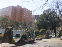 韓国・慶南大学 韓国・慶南大学