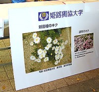 姫路食博での展示 姫路食博での展示