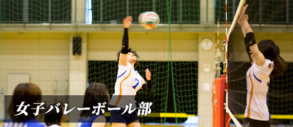 女子バレーボール部 強化クラブ