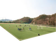 サッカー場 サッカー場画像