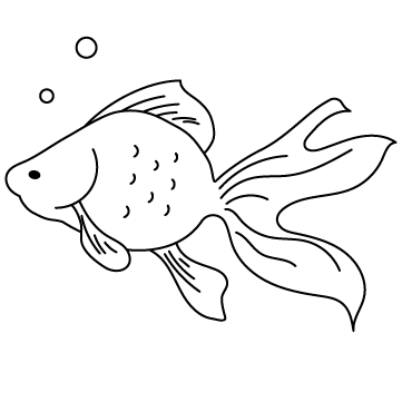 かほ|メンバー紹介|CANVAS