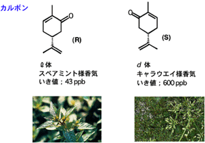 山名先生コラム