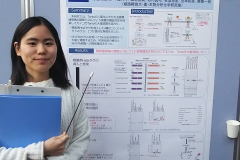 クリックして拡大表示