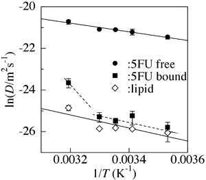 脂質二分子膜に結合した5FU(bound)とfreeの5FUならびに脂質分子(lipid) の動く速度の温度変化