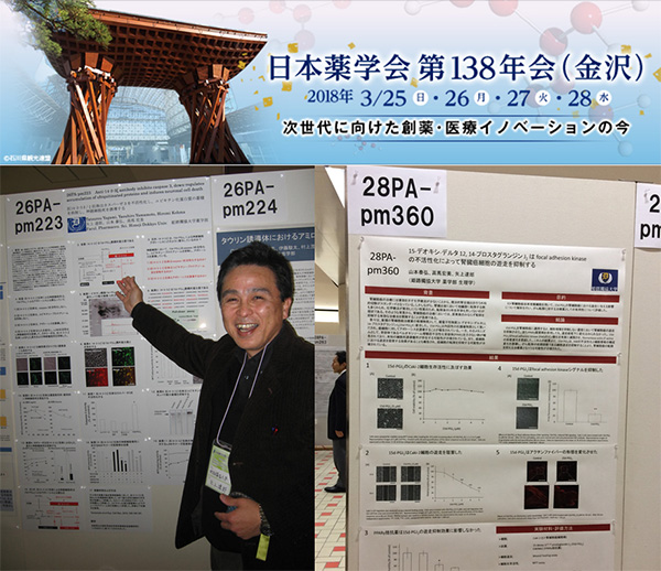 第36回　日本神経科学会大会 2013年6月画像