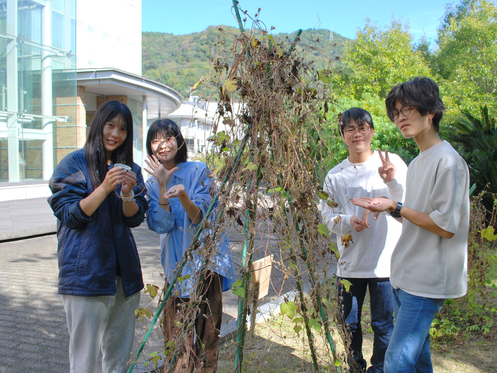 明後日朝顔プロジェクト　収穫祭を開催しました。