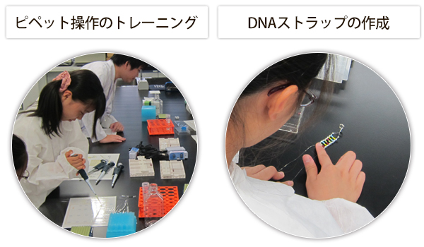 平成28年度 姫路獨協大学 ひらめき☆ときめきサイエンス