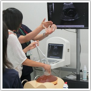 兵庫県 姫路獨協大学 看護学部 胎児のエコー（超音波検査）体験の様子