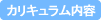 カリキュラム内容