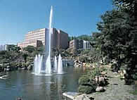 ワイカト大学 ワイカト大学