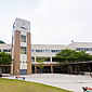 中庭（3）