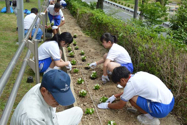 姫路市内中学生が「トライやる・ウィーク」を体験中です。